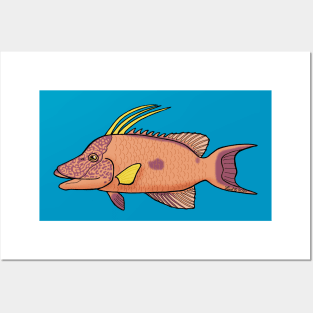 Hogfish Posters and Art